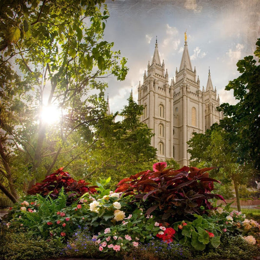 Salt Lake Brightness and Glory Gallery Wrap