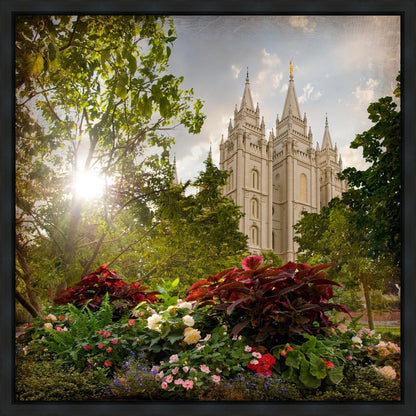 Salt Lake Brightness and Glory Gallery Wrap