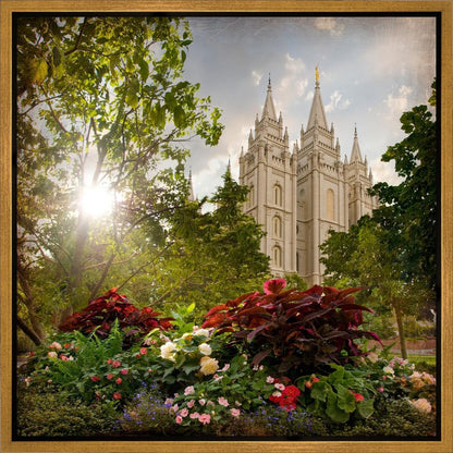 Salt Lake Brightness and Glory Gallery Wrap