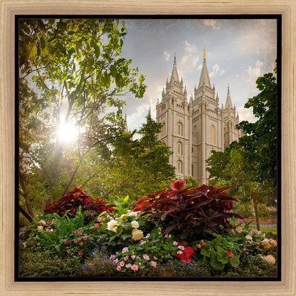 Salt Lake Brightness and Glory Gallery Wrap