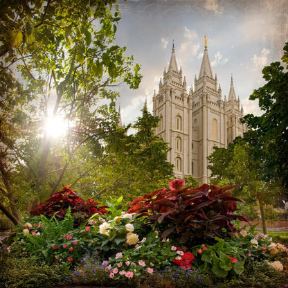 Salt Lake Brightness and Glory