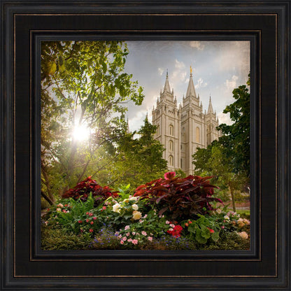 Salt Lake Brightness and Glory