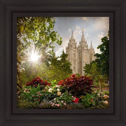 Salt Lake Brightness and Glory