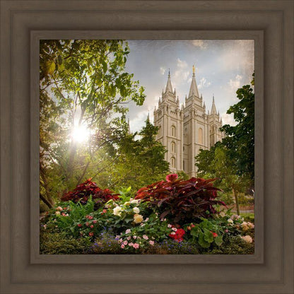 Salt Lake Brightness and Glory