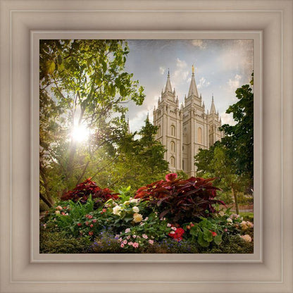 Salt Lake Brightness and Glory