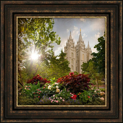 Salt Lake Brightness and Glory