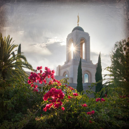 Newport Beach Brightness and Glory Gallery Wrap