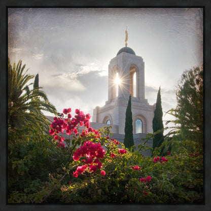 Newport Beach Brightness and Glory Gallery Wrap