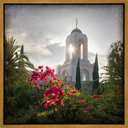 Newport Beach Brightness and Glory Gallery Wrap