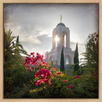 Newport Beach Brightness and Glory Gallery Wrap