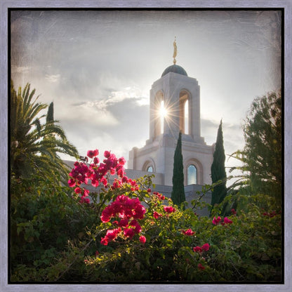 Newport Beach Brightness and Glory Gallery Wrap