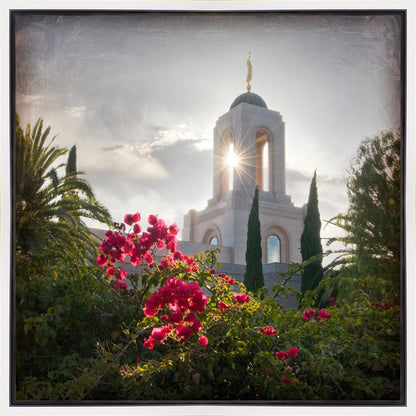 Newport Beach Brightness and Glory Gallery Wrap