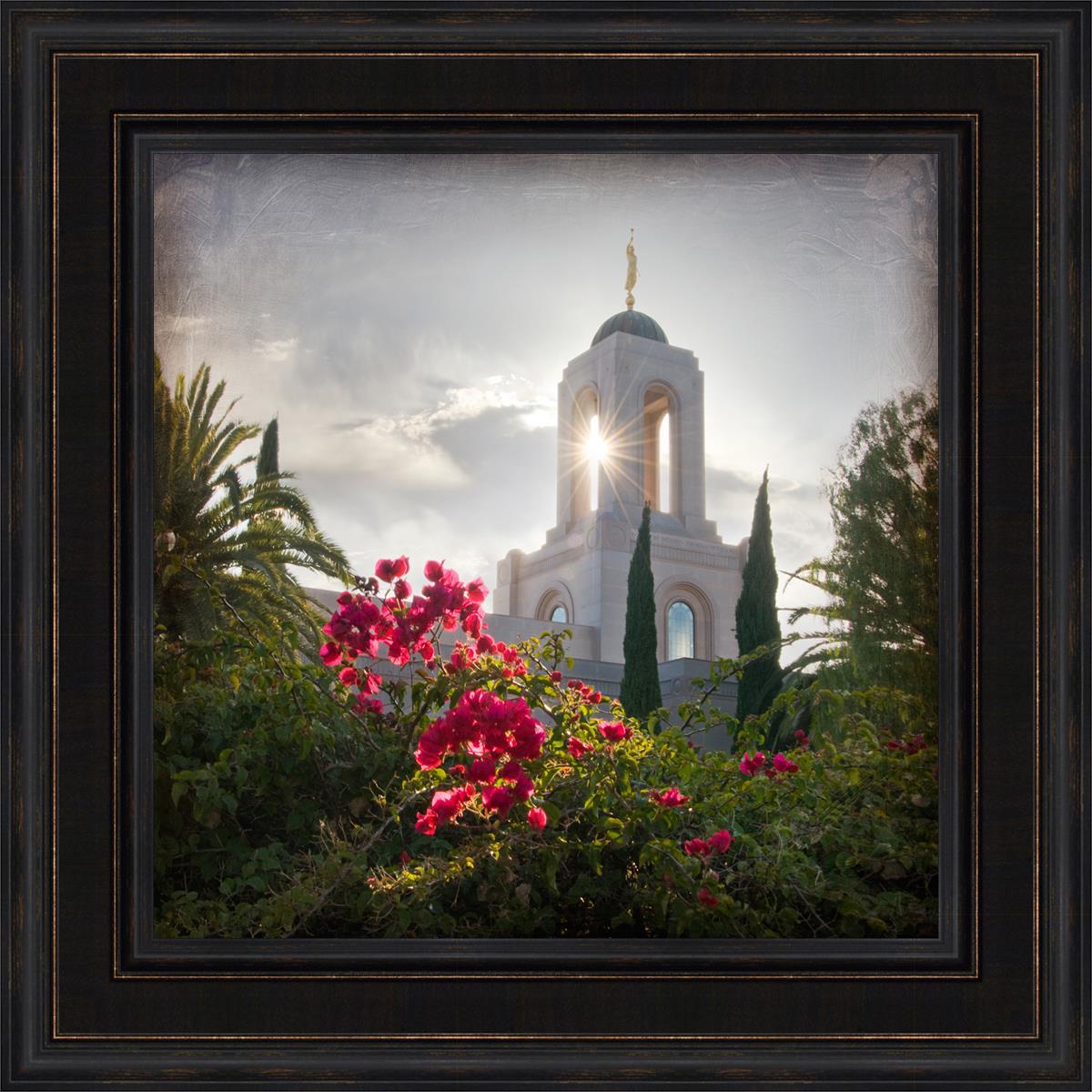 Newport Beach Brightness and Glory