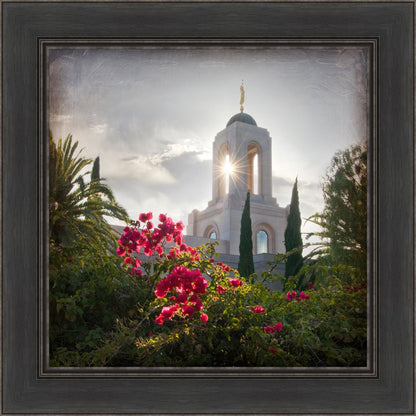 Newport Beach Brightness and Glory