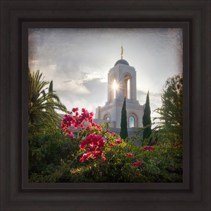 Newport Beach Brightness and Glory