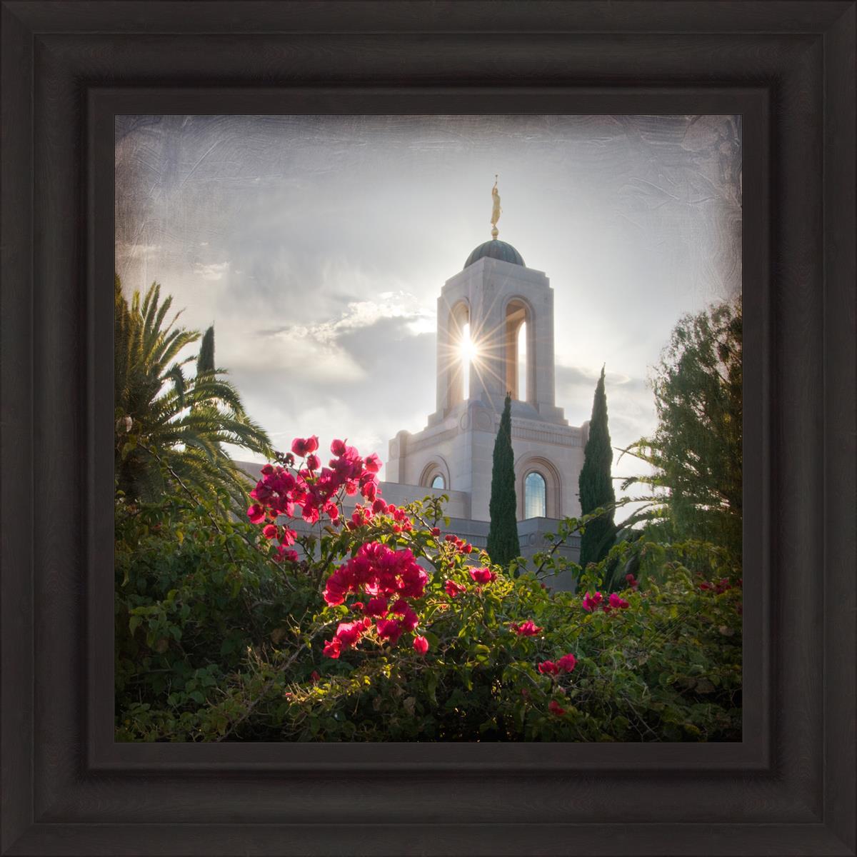 Newport Beach Brightness and Glory