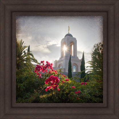 Newport Beach Brightness and Glory