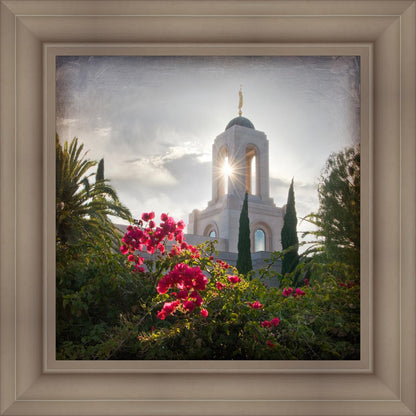 Newport Beach Brightness and Glory