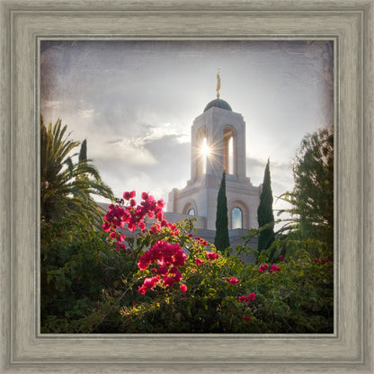 Newport Beach Brightness and Glory