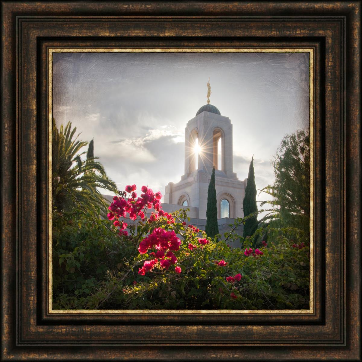 Newport Beach Brightness and Glory