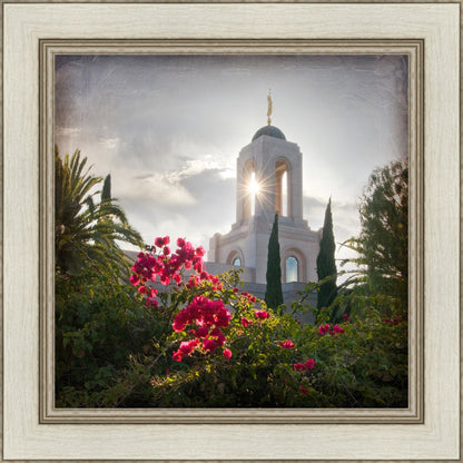 Newport Beach Brightness and Glory