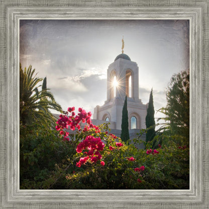 Newport Beach Brightness and Glory