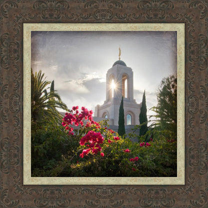 Newport Beach Brightness and Glory