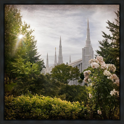 Portland Brightness and Glory Gallery Wrap