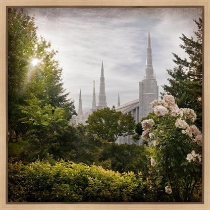 Portland Brightness and Glory Gallery Wrap