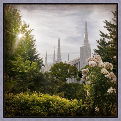 Portland Brightness and Glory Gallery Wrap