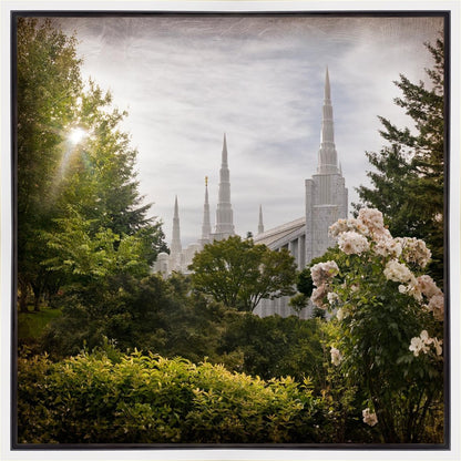 Portland Brightness and Glory Gallery Wrap