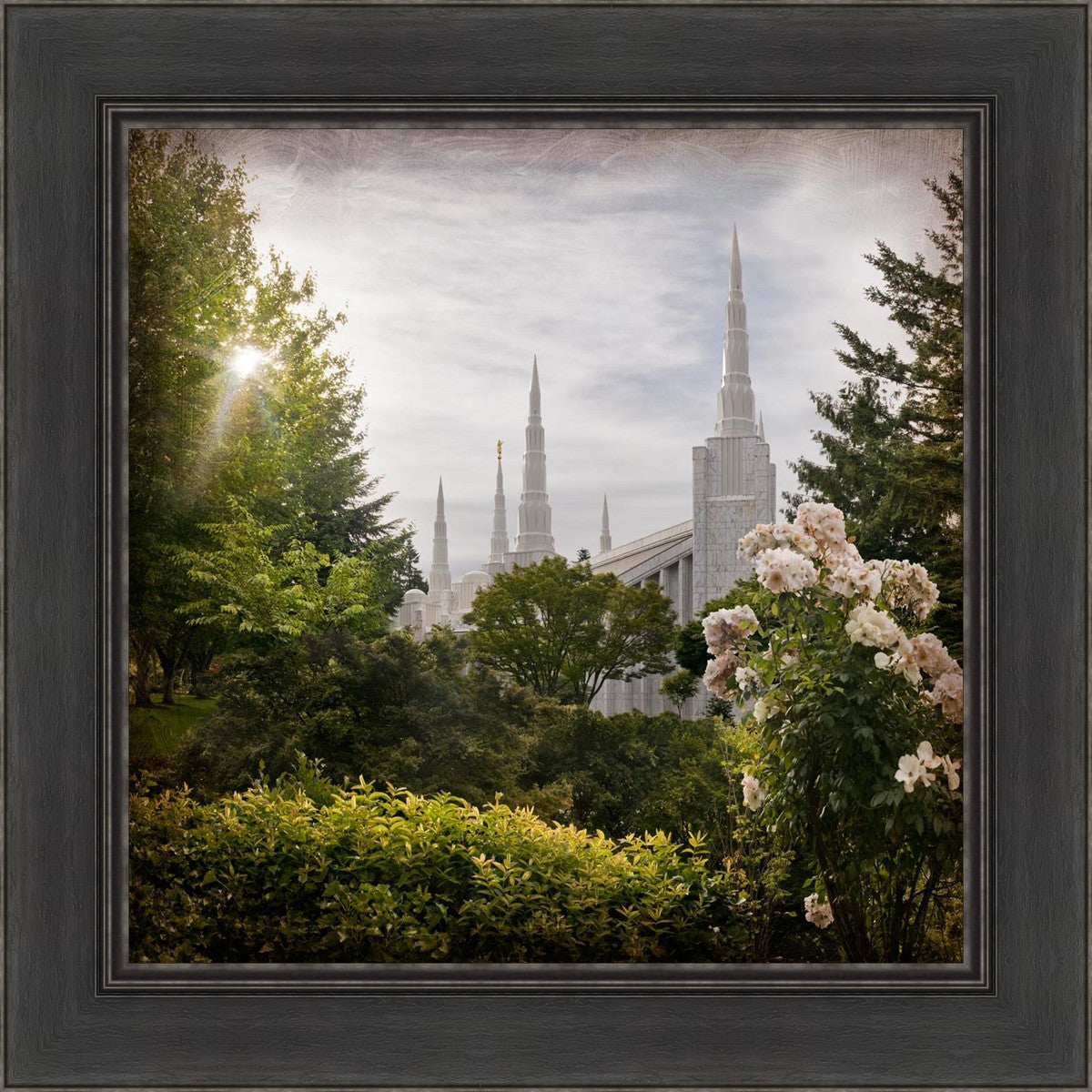 Portland Brightness and Glory