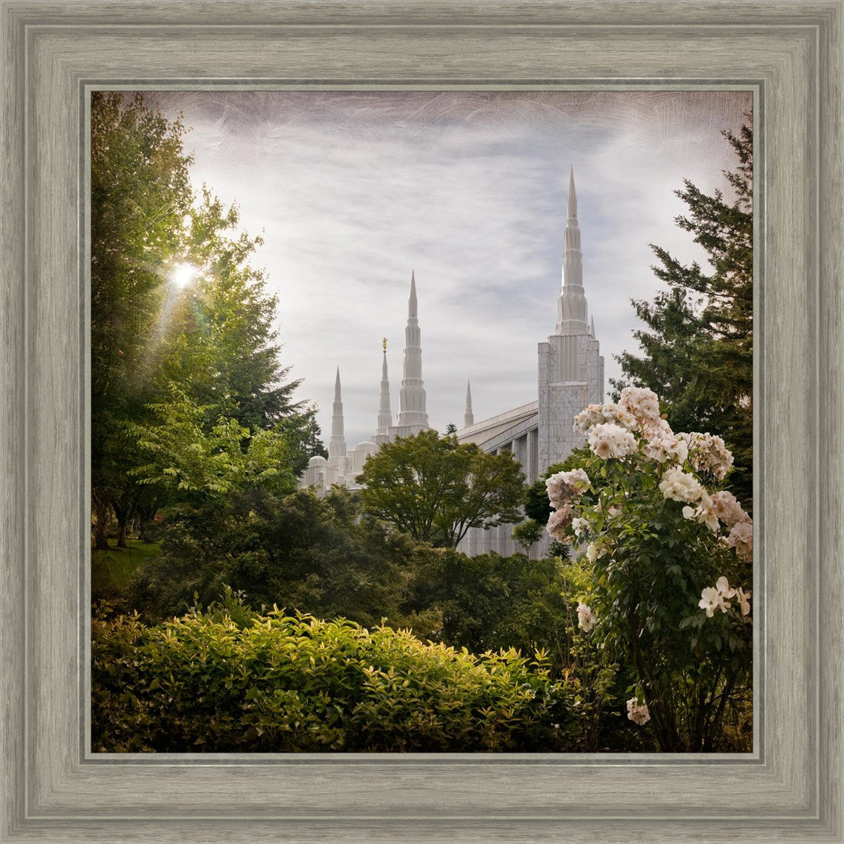 Portland Brightness and Glory