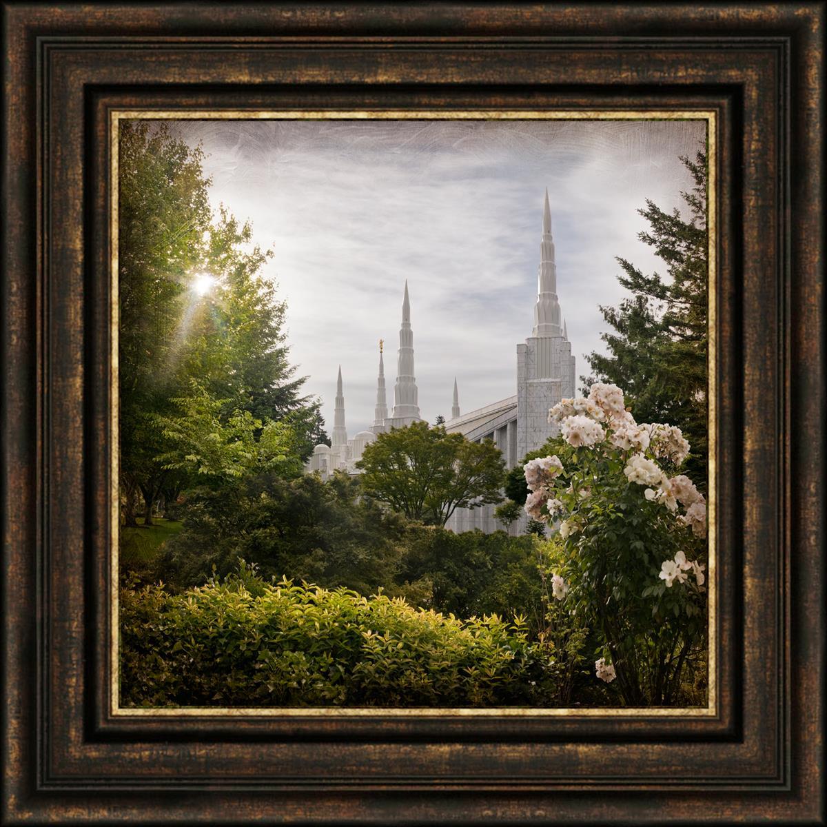 Portland Brightness and Glory