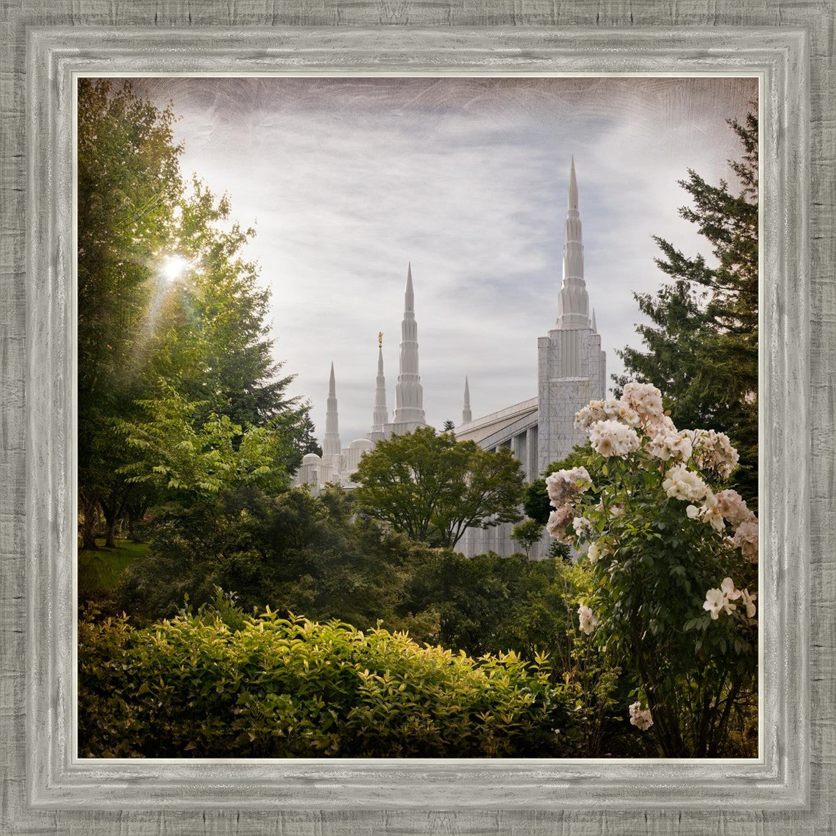 Portland Brightness and Glory