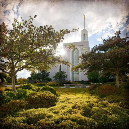 Mt. Timpanogos Brightness and Glory Gallery Wrap