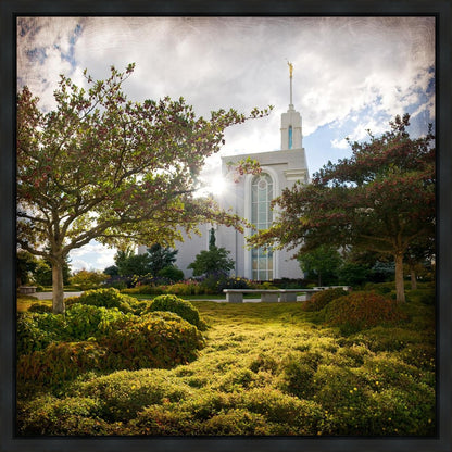 Mt. Timpanogos Brightness and Glory Gallery Wrap