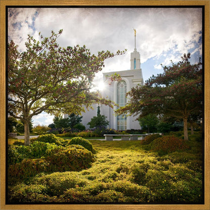 Mt. Timpanogos Brightness and Glory Gallery Wrap