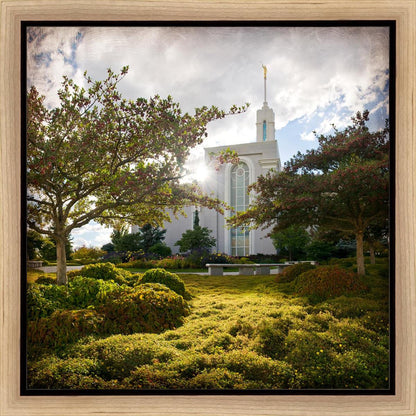 Mt. Timpanogos Brightness and Glory Gallery Wrap