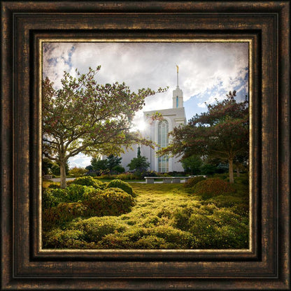 Mt. Timpanogos Brightness and Glory