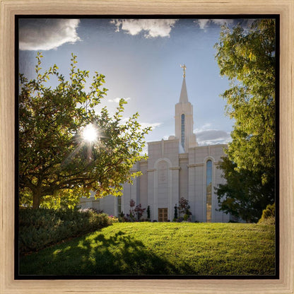 Bountiful Brightness and Glory Gallery Wrap