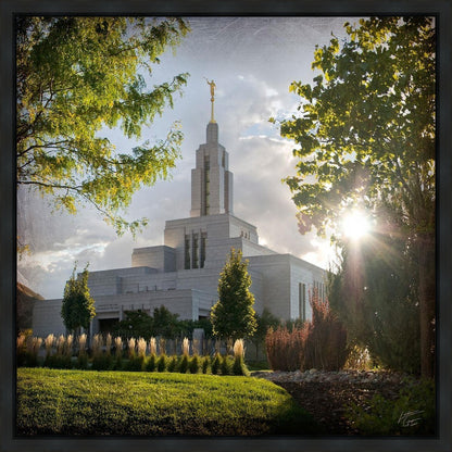 Draper Brightness and Glory Gallery Wrap