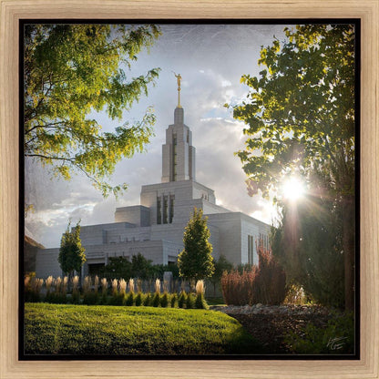 Draper Brightness and Glory Gallery Wrap