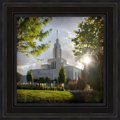 Draper Brightness and Glory