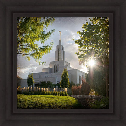 Draper Brightness and Glory