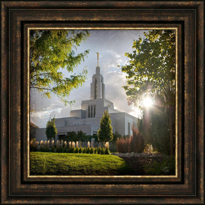 Draper Brightness and Glory