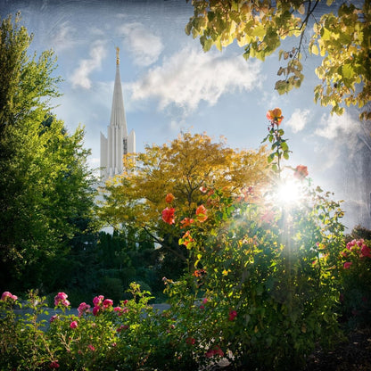 Jordan River Brightness and Glory Gallery Wrap