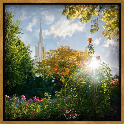 Jordan River Brightness and Glory Gallery Wrap