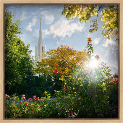 Jordan River Brightness and Glory Gallery Wrap