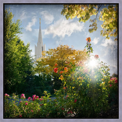 Jordan River Brightness and Glory Gallery Wrap